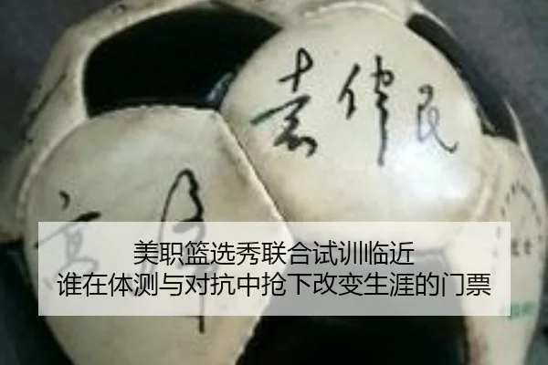 美职篮选秀联合试训临近 谁在体测与对抗中抢下改变生涯的门票