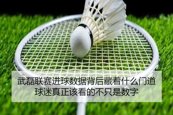 img_1780312036071_29_1_736.jpg