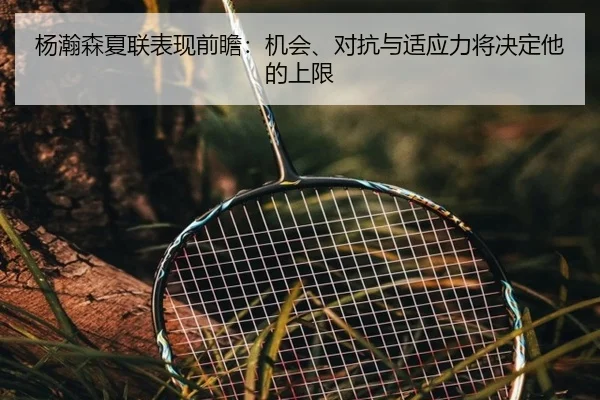 杨瀚森夏联表现前瞻：机会、对抗与适应力将决定他的上限 | kaiyun